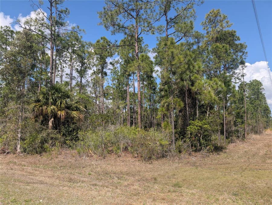 Property photo for 802 ALTHEA DRIVE, Indian Lake Estates, FL