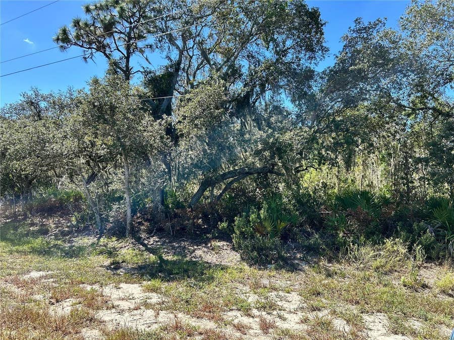 Property photo for WOODSTORK WAY, Frostproof, FL
