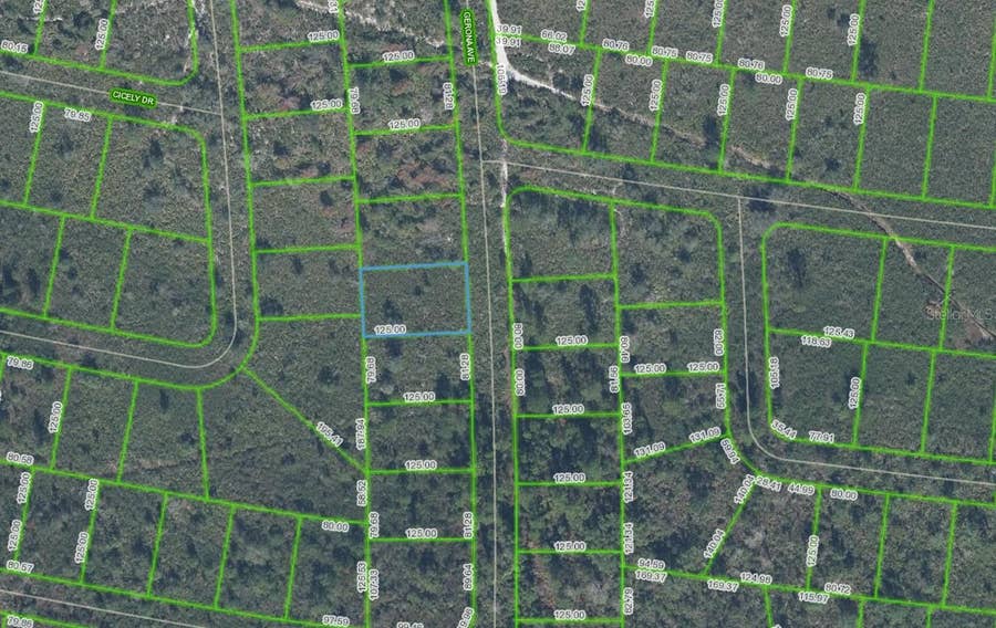 Property photo for 4055 GERONA AVENUE, Sebring, FL