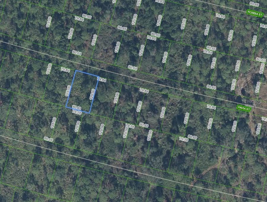 Property photo for 8705 PAVIA STREET, Sebring, FL