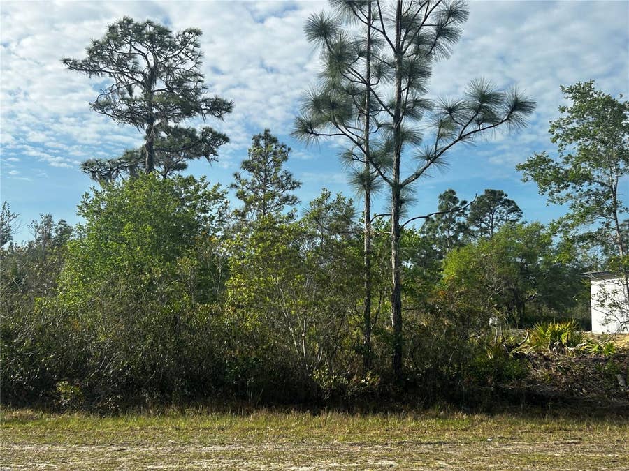 Property photo for 618 POINCIANA DRIVE, Indian Lake Estates, FL