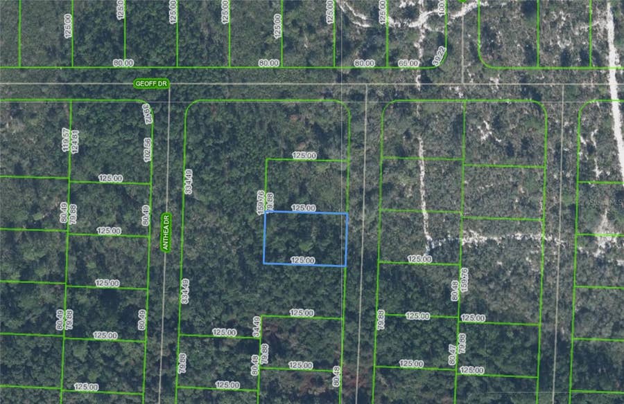 Property photo for 6316 ALICIA DRIVE, Sebring, FL