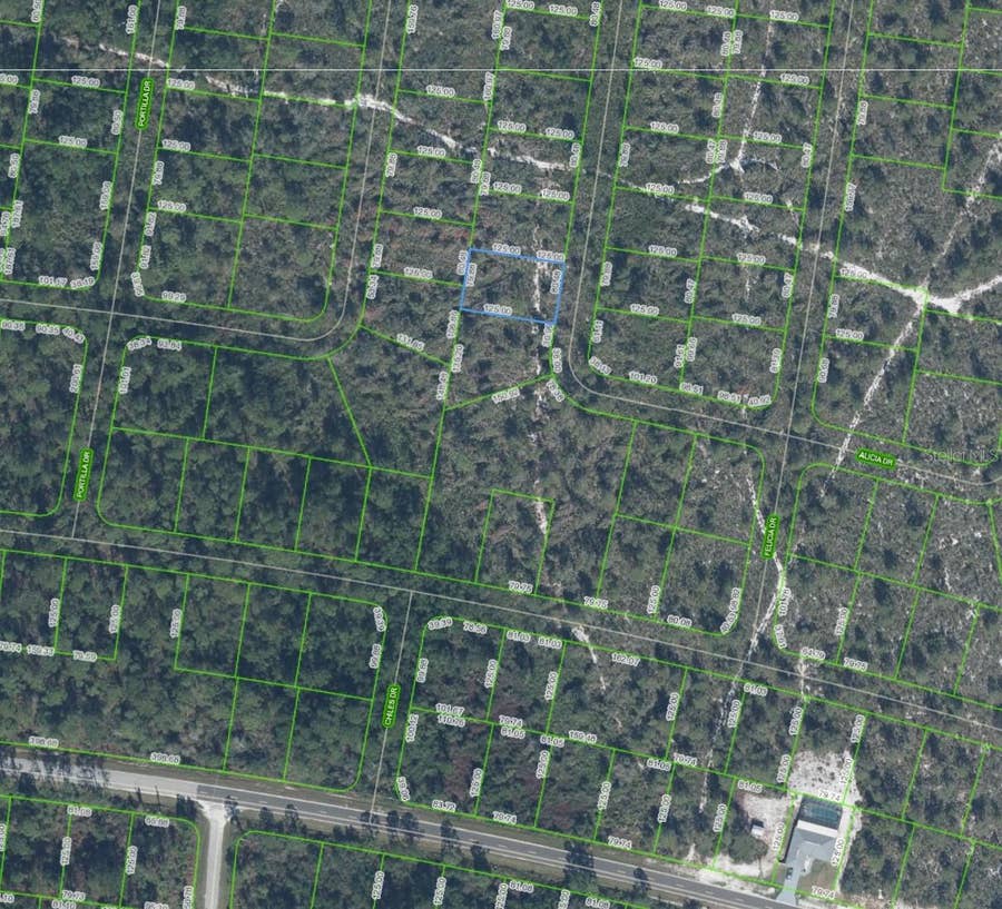 Property photo for 6464 ALICIA DRIVE, Sebring, FL