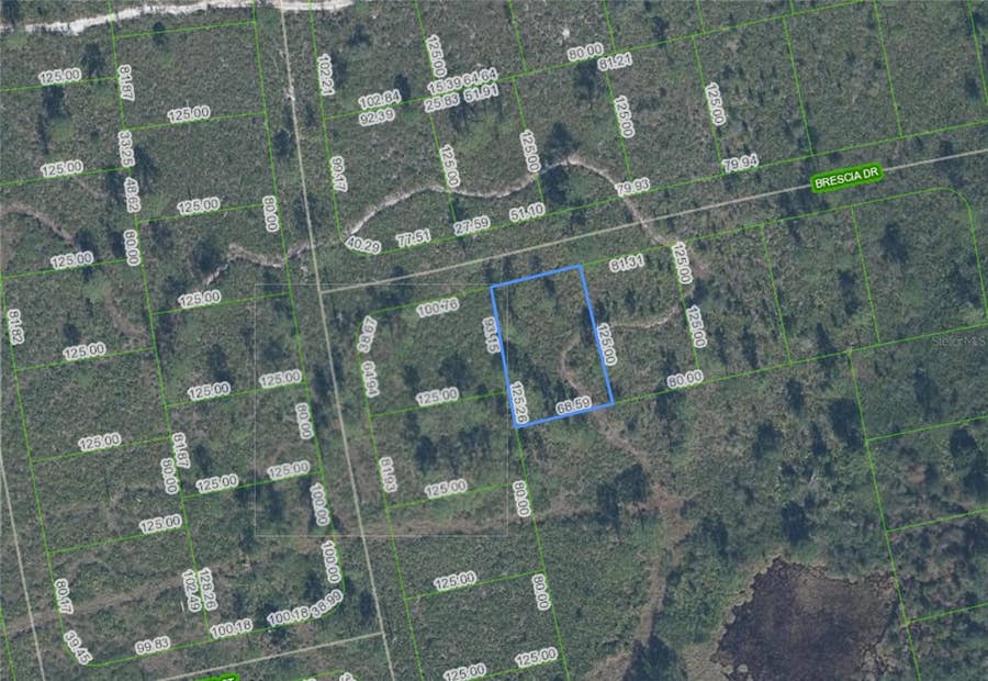 Property photo for 7448 BRESICA DRIVE, Sebring, FL