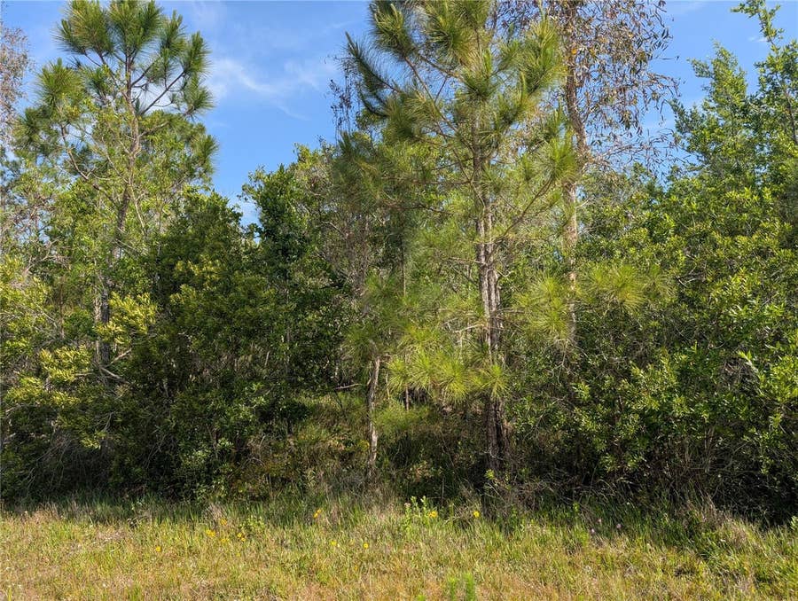Property photo for 704 ORCHID DRIVE, Indian Lake Estates, FL