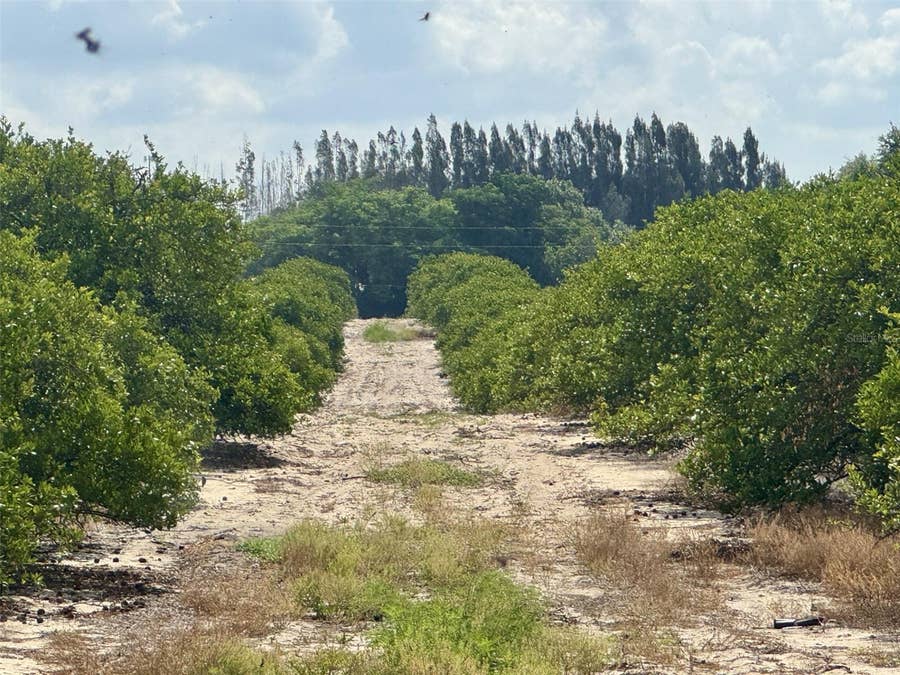 Property photo for CROOKED LAKE DRIVE N, Babson Park, FL