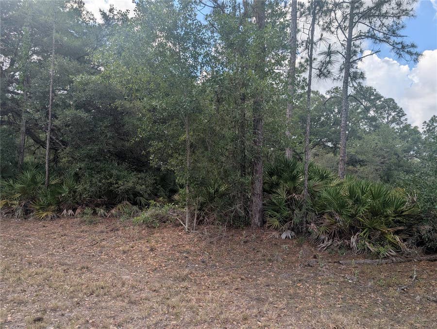 Property photo for ALLAMANDA DRIVE, Indian Lake Estates, FL