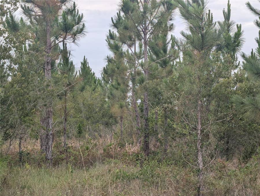 Property photo for 221 TROPICANA DRIVE, Indian Lake Estates, FL
