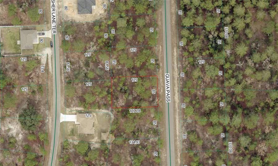 Property photo for GUAVA PASS LOT 10, Ocklawaha, FL