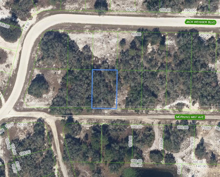 Property photo for 504 MORNING MIST AVENUE, Lake Placid, FL
