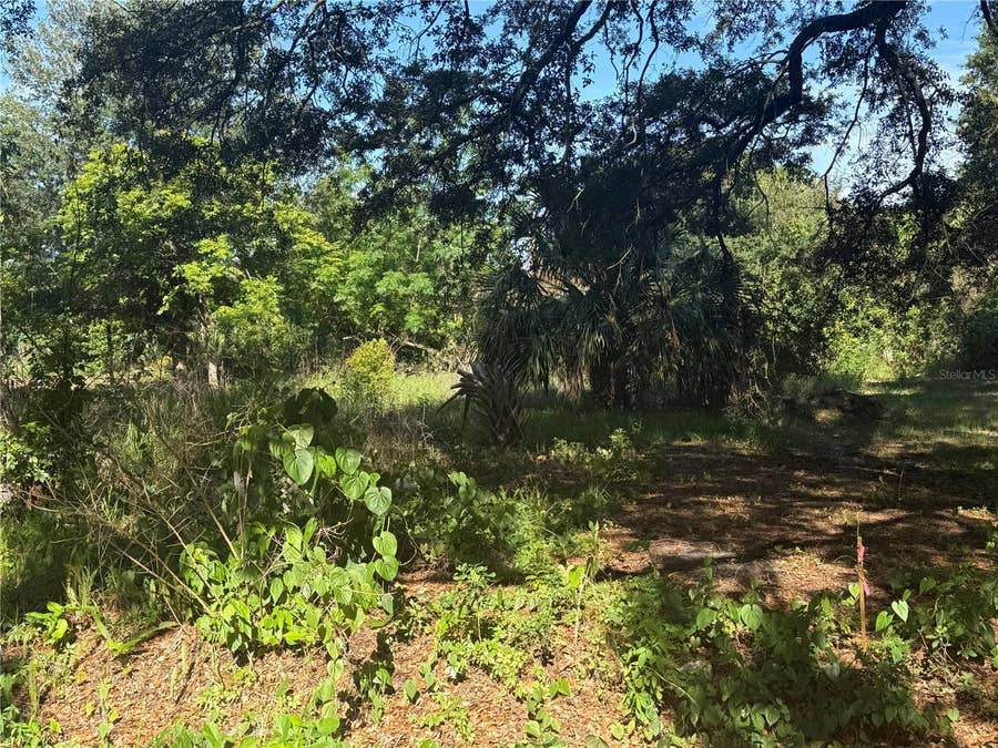 Property photo for 1251 37TH STREET NW, Winter Haven, FL