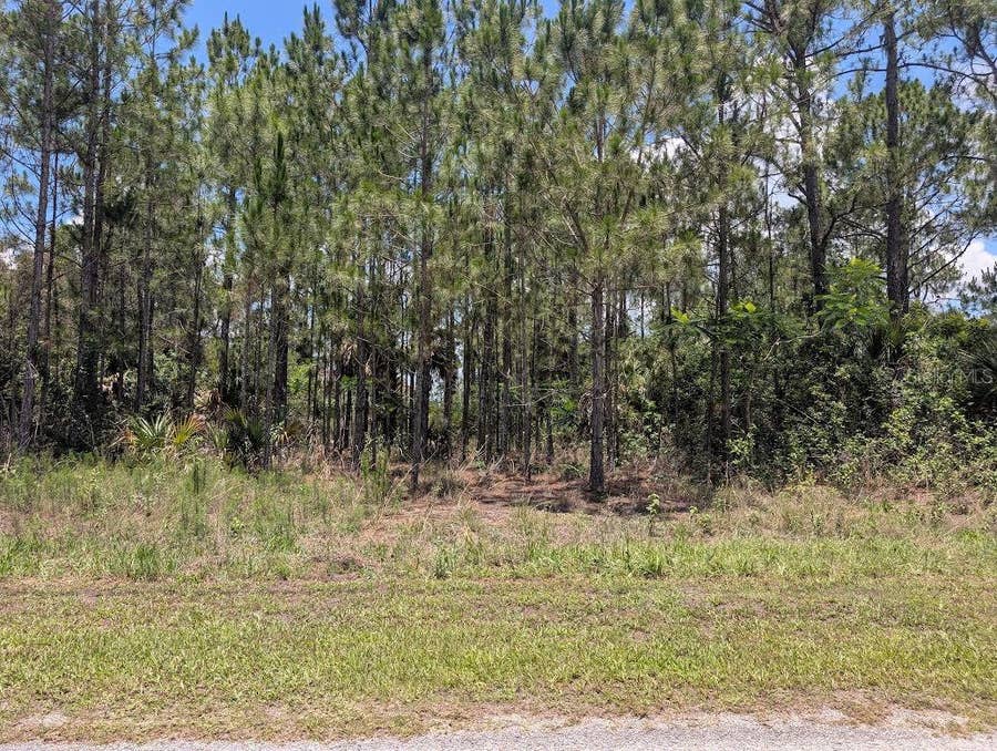 Property photo for 7 AVOCADO DRIVE, Indian Lake Estates, FL