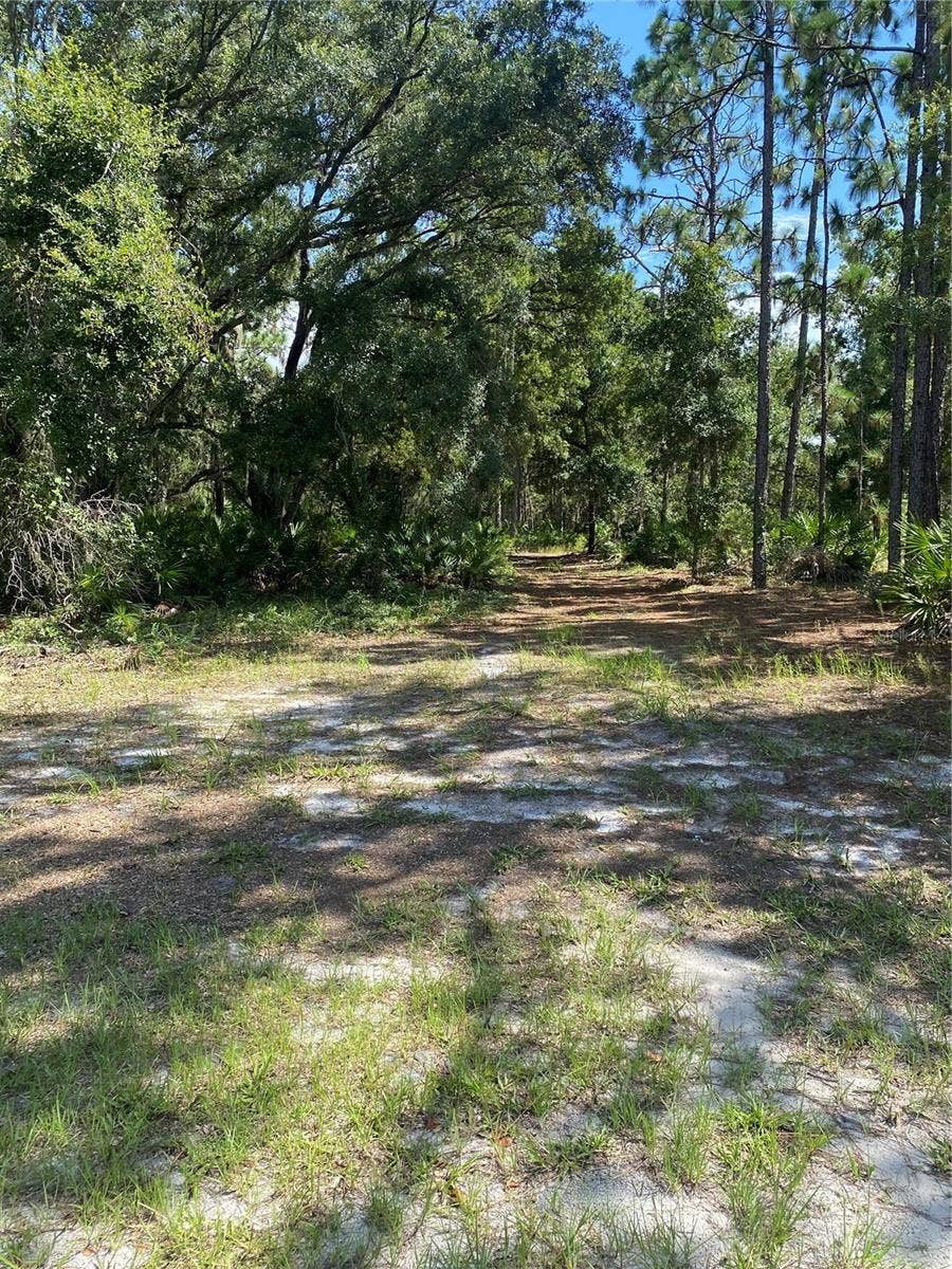 Property photo for 0 OLEANDER DRIVE, Indian Lake Estates, FL