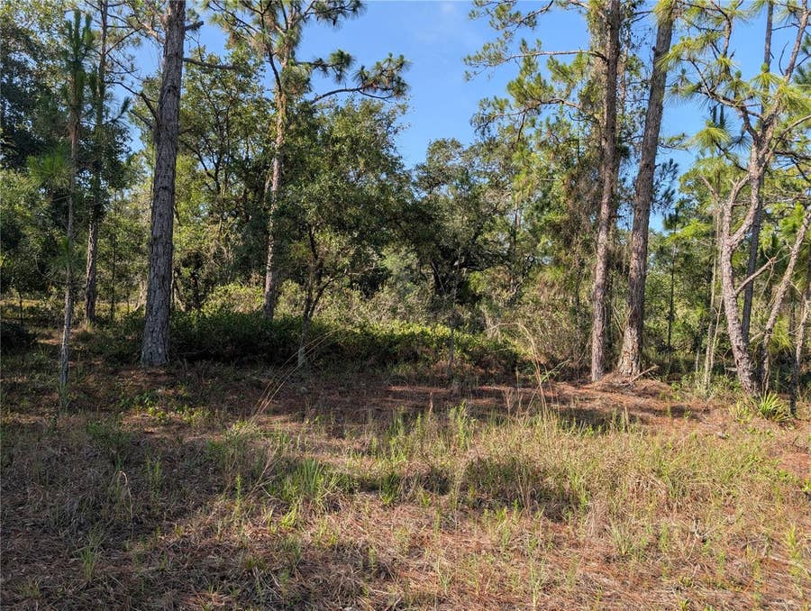 Property photo for 819 & 821 ALLAMANDA DRIVE, Indian Lake Estates, FL