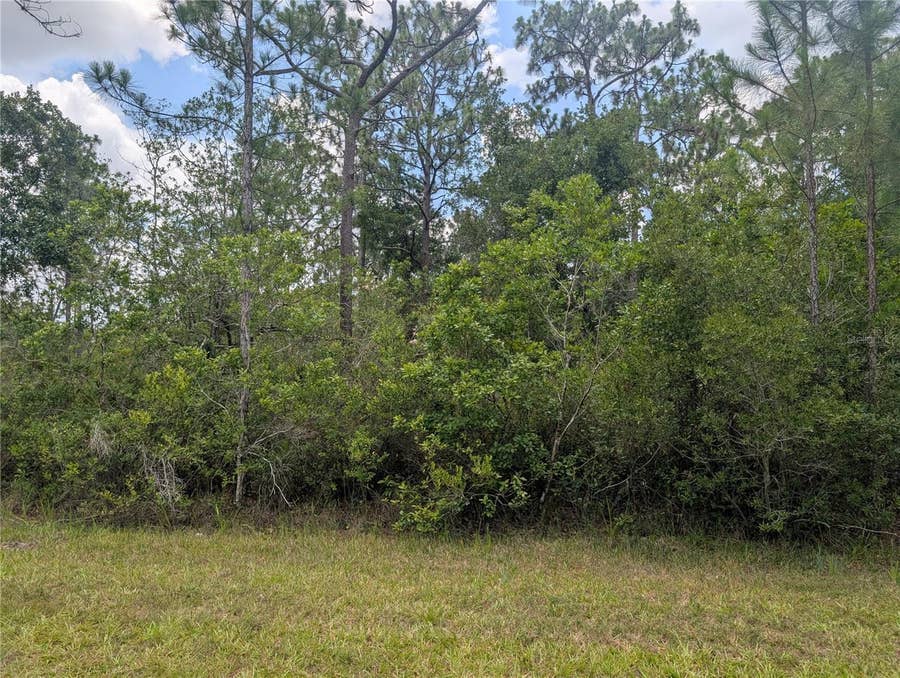 Property photo for 519 CAMELLIA DRIVE, Indian Lake Estates, FL