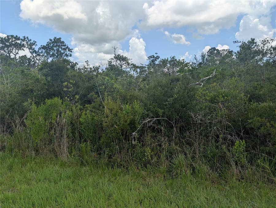 Property photo for 314 CAMELLIA DRIVE, Indian Lake Estates, FL