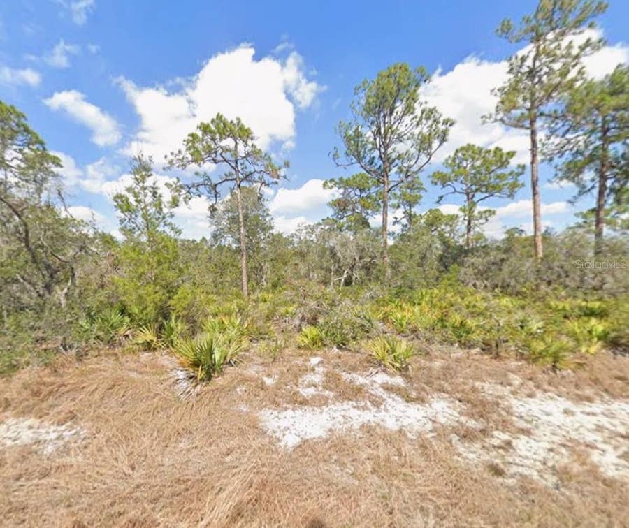 Property photo for 3047 WILLOW AVENUE, Lake Placid, FL