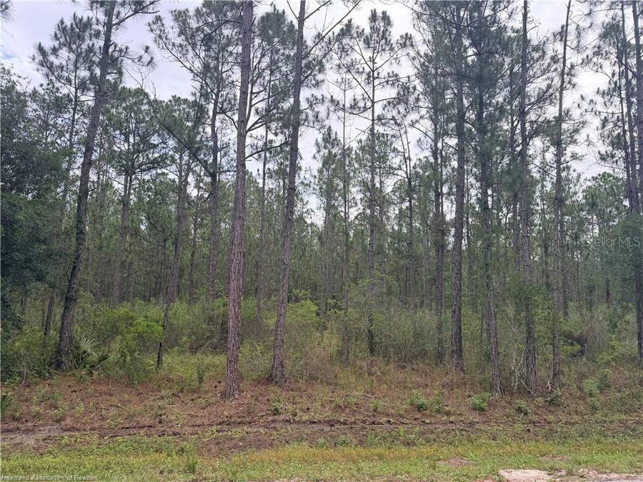 Property photo for 6438 MERRICK DRIVE, Sebring, FL