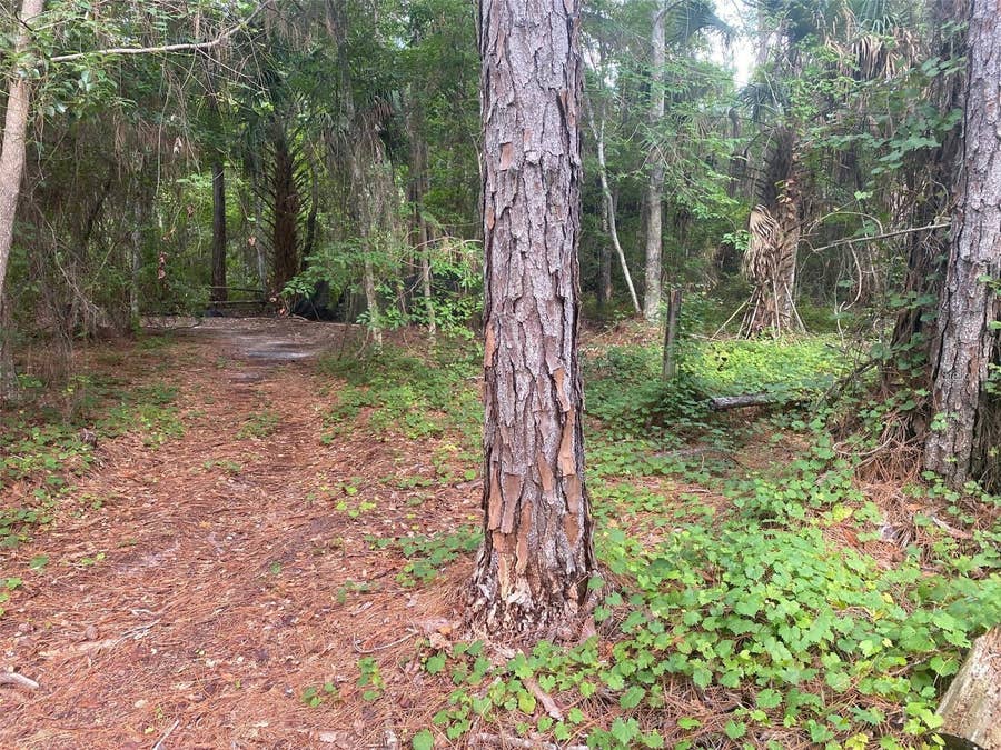 Property photo for 709 GEORGETOWN DENVER ROAD, Crescent City, FL