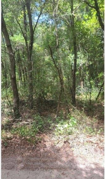 Property photo for SOUTHWEST 156TH PLACE, Dunnellon, FL