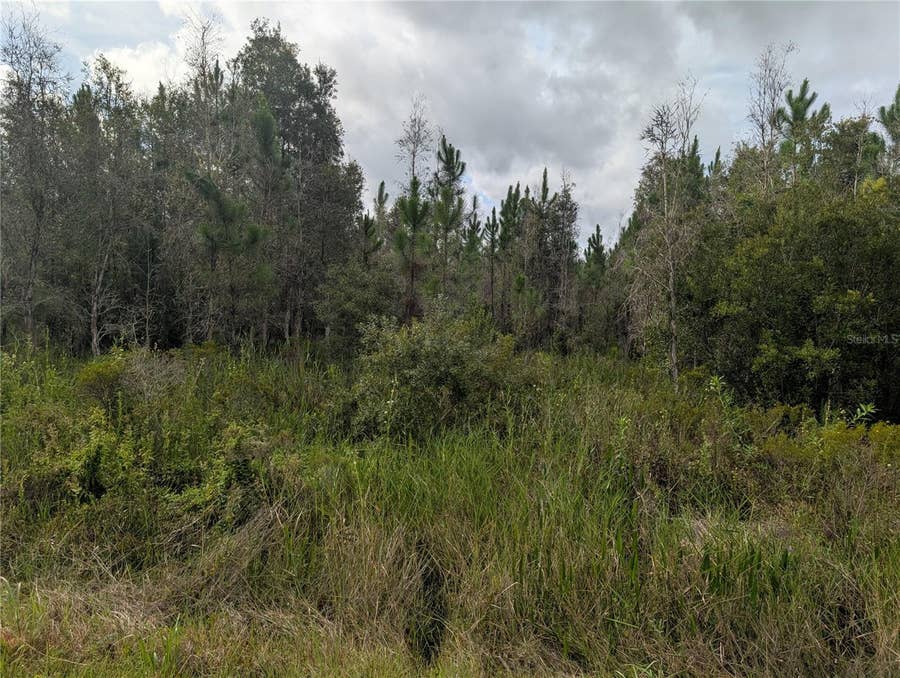 Property photo for MEADOW LARK BOULEVARD, Lake Wales, FL