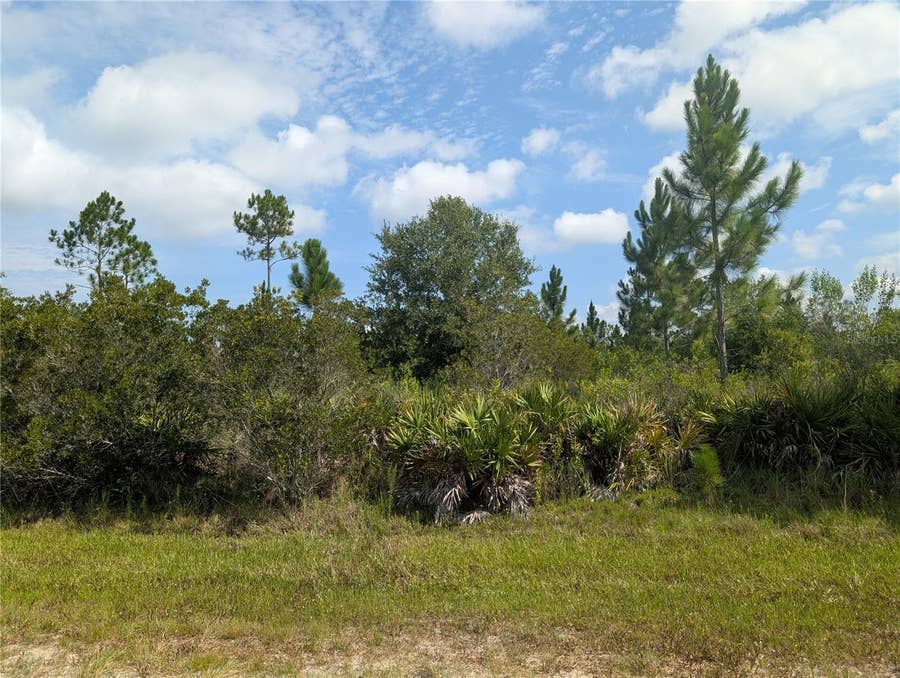 Property photo for Indian Lake Estates, FL