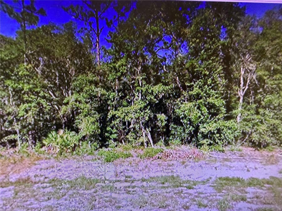 Property photo for 0 CHIPO ST, Interlachen, FL