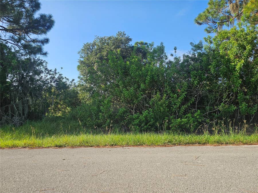 Property photo for 251 SUNBEAM COURT, Lake Placid, FL