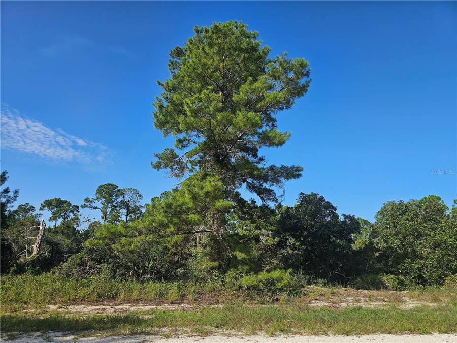 Property photo for 476 LAKE HELEN DRIVE, Lake Placid, FL