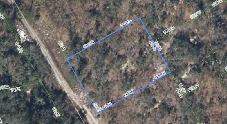 Property photo for 289 BLUE HORIZON DRIVE, Lake Placid, FL