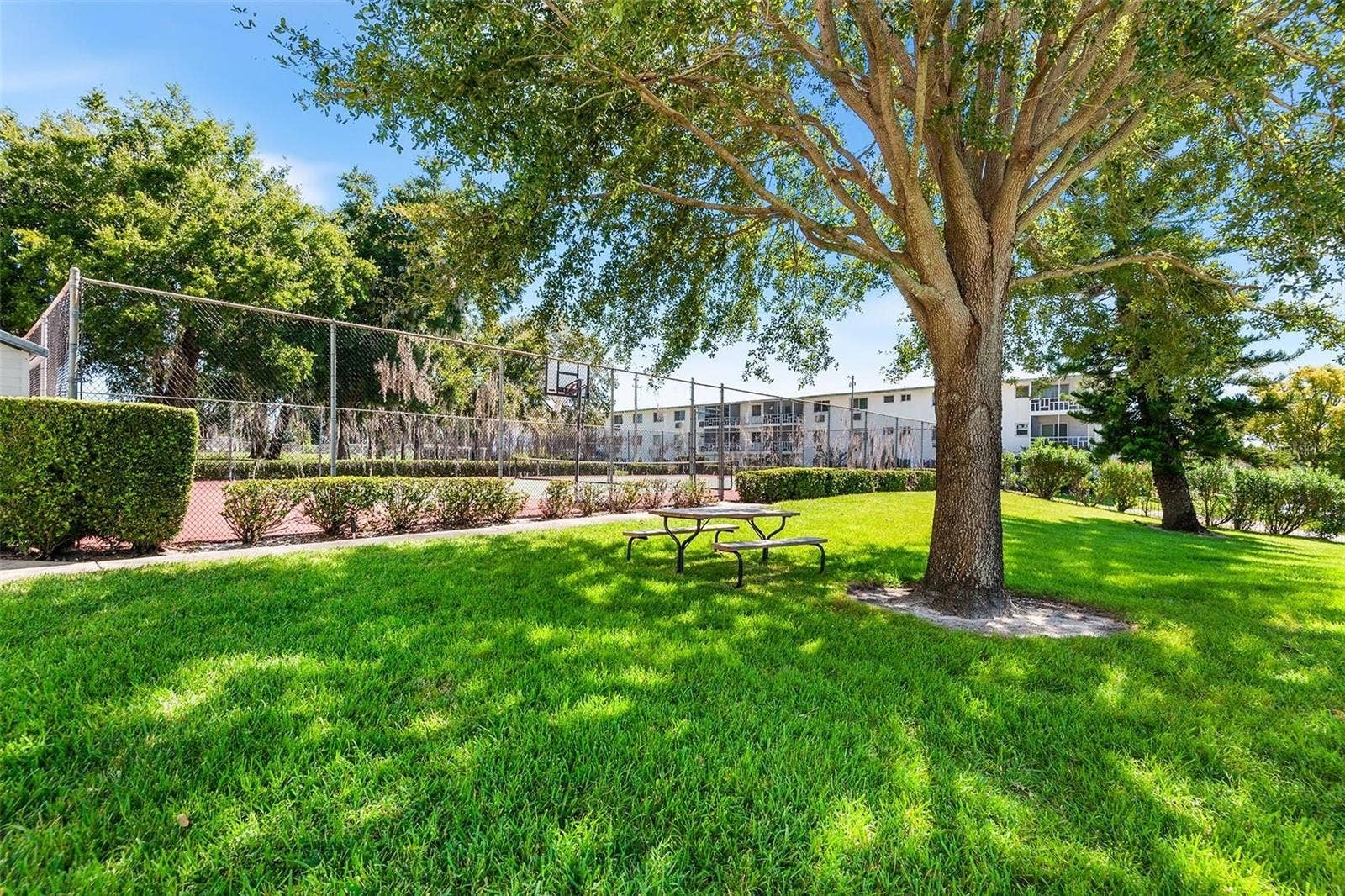 1776 6TH STREET NW, #304, Winter Haven, FL 33881 Shaded green space