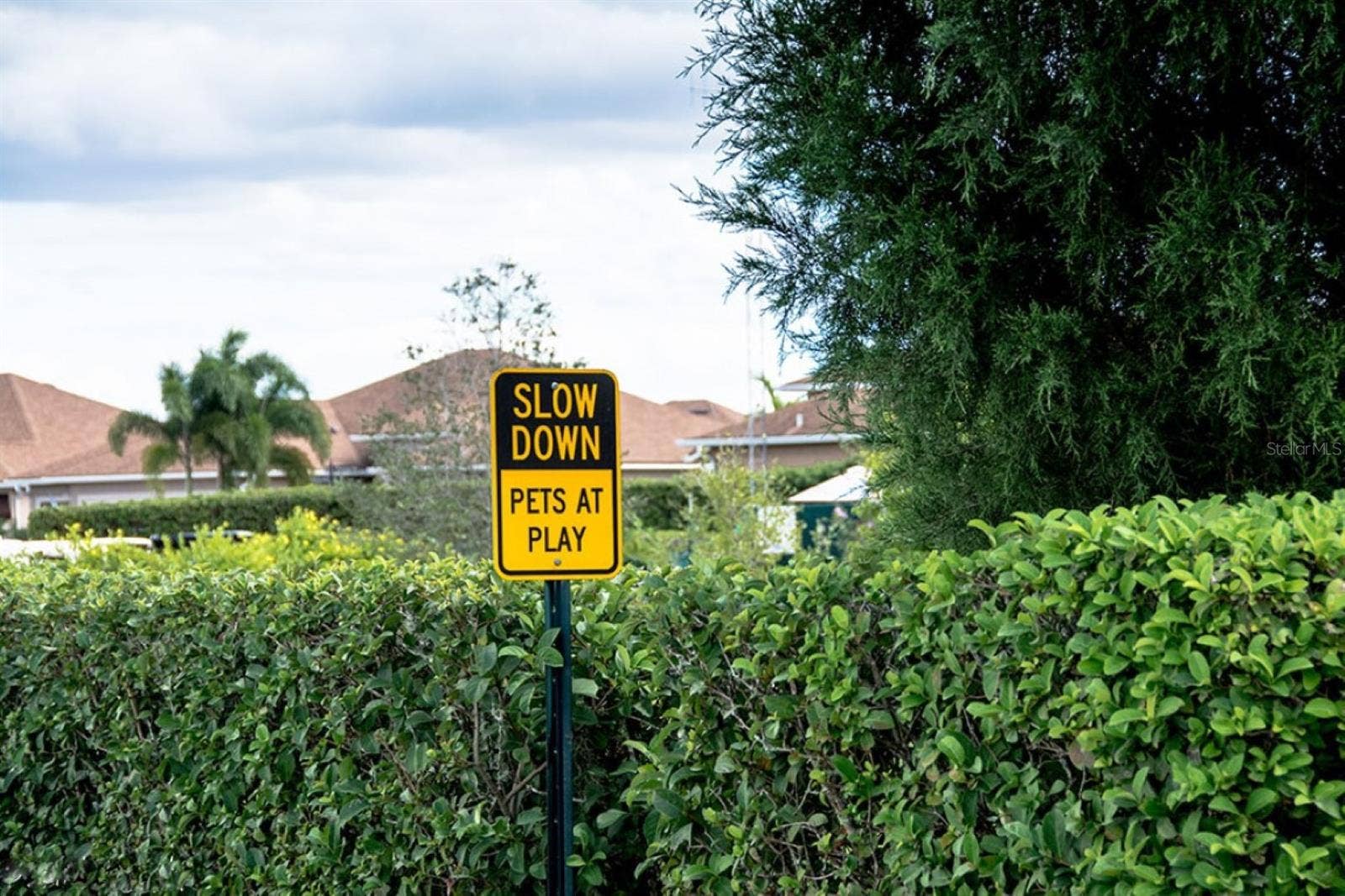 4232 DORNOCH DRIVE, Lake Wales, FL 33859 Lake Ashton has 3 pet parks for its "furry" residents.