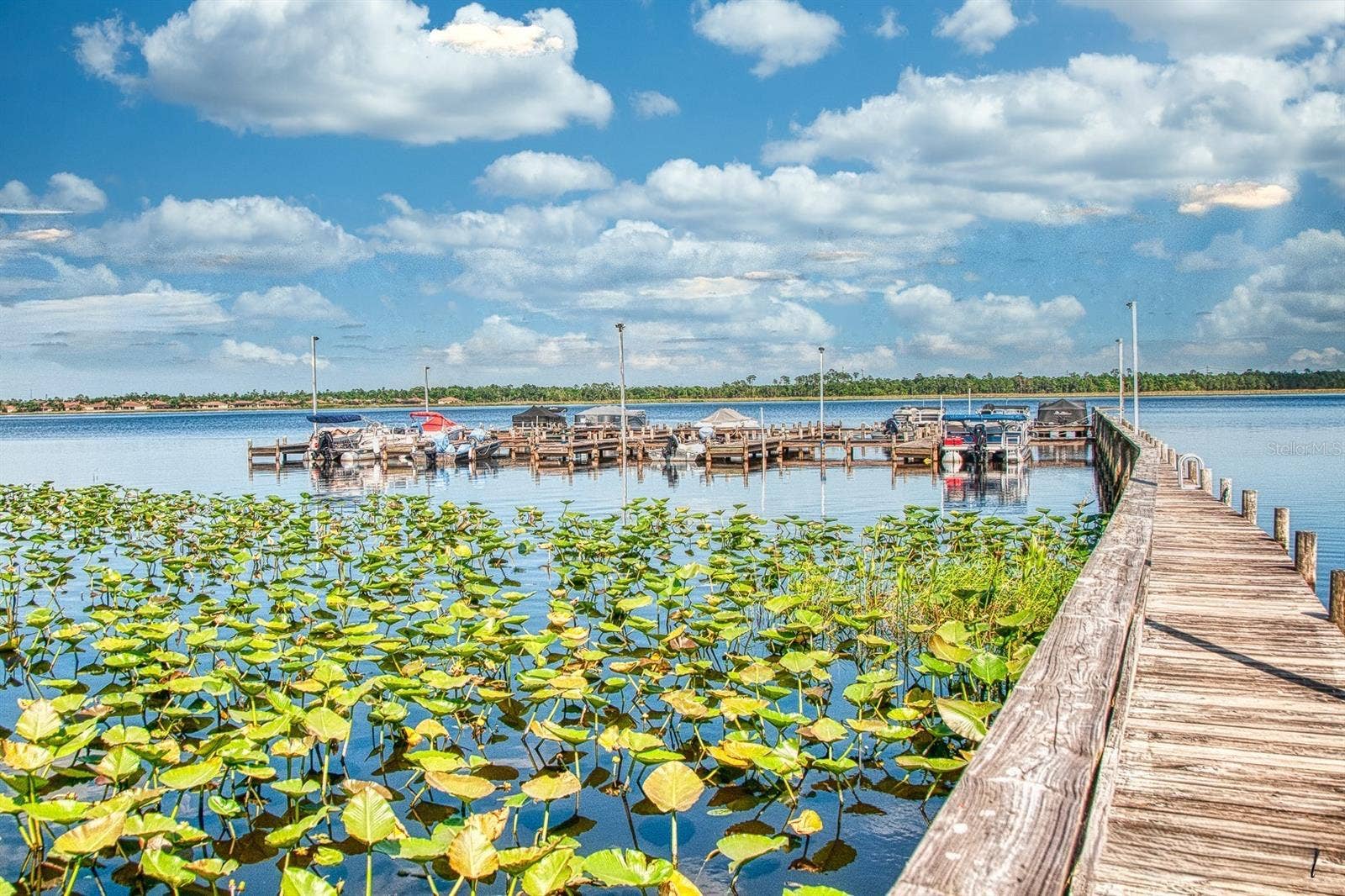 4232 DORNOCH DRIVE, Lake Wales, FL 33859 A marina on Lake Ashton has slips for rent.