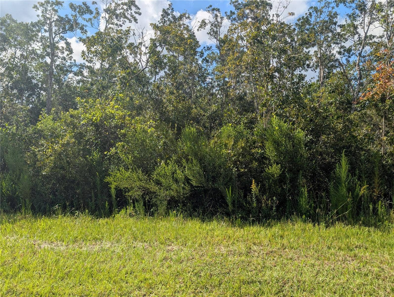313 BOUGAINVILLE DRIVE, Indian Lake Estates, FL 33855 313 BOUGAINVILLE DRIVE, Indian Lake Estates, FL 33855
