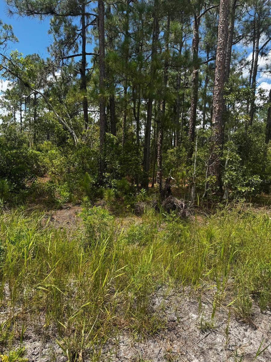 Property photo for MCCLELLAN ROAD, #6, Frostproof, FL