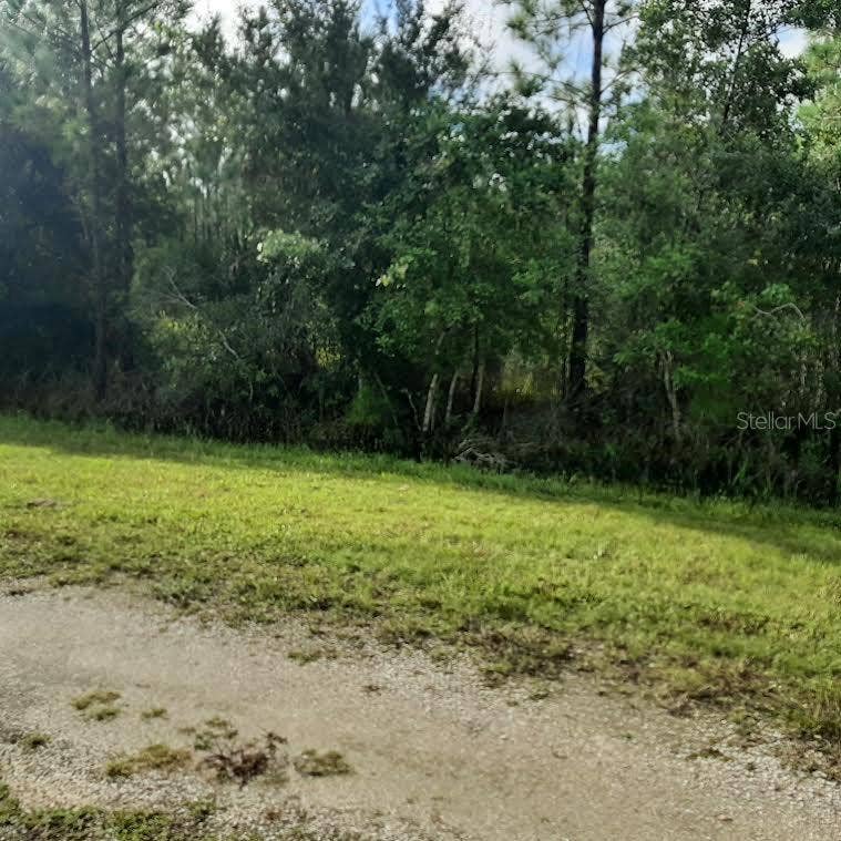 Property photo for 1013 PORTULACA DRIVE, Indian Lake Estates, FL