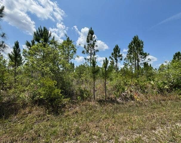 Property photo for 1015 CALLIANDRA DRIVE, Indian Lake Estates, FL