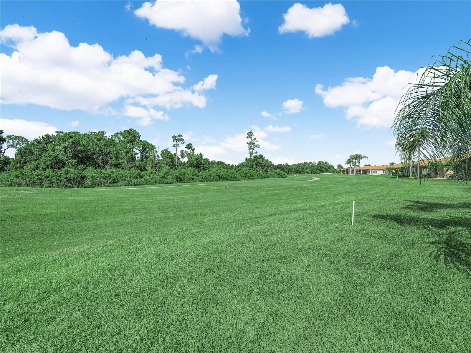 Golf Course View from Back of the Home
