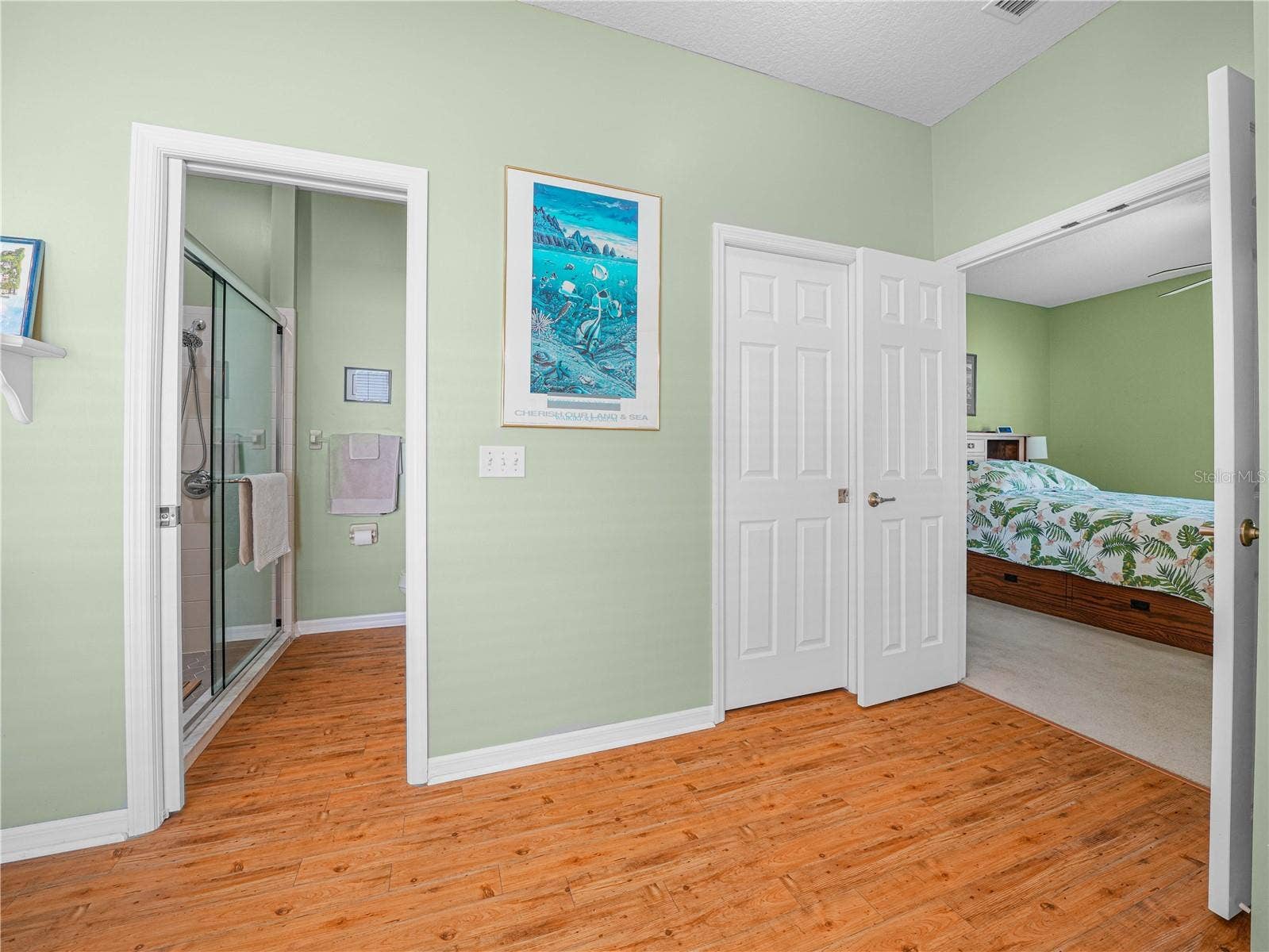 Shower Area and Walk in Closet