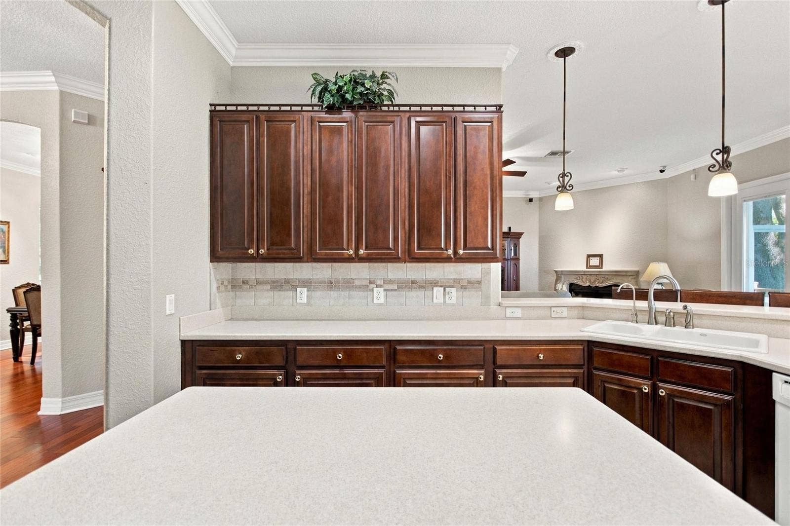 4108 N FORBES ROAD, Plant City, FL 33565