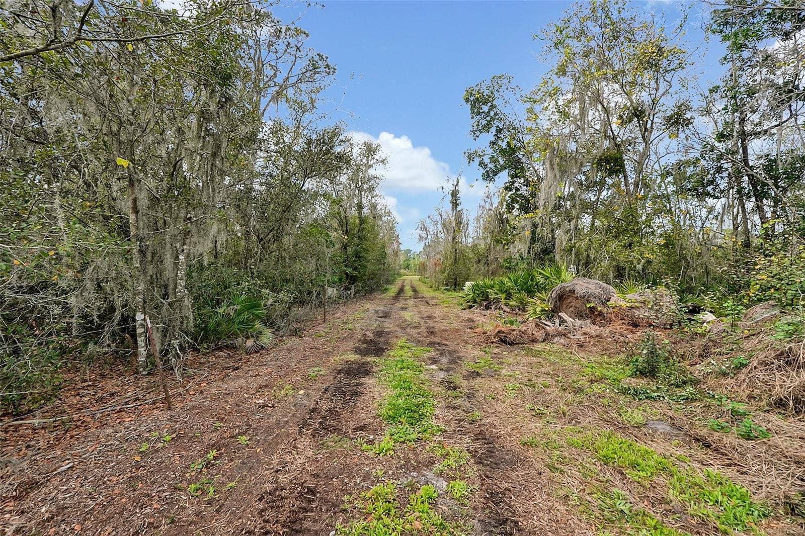 3381 LAKE BUFFUM ROAD E, Fort Meade, FL 33841 3381 LAKE BUFFUM ROAD E, Fort Meade, FL 33841