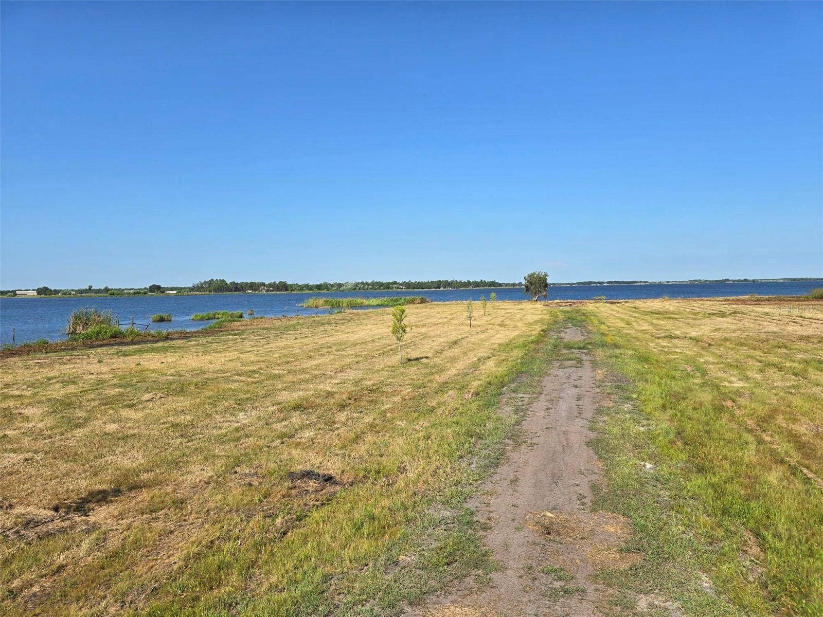 3381 LAKE BUFFUM ROAD E, Fort Meade, FL 33841 3381 LAKE BUFFUM ROAD E, Fort Meade, FL 33841