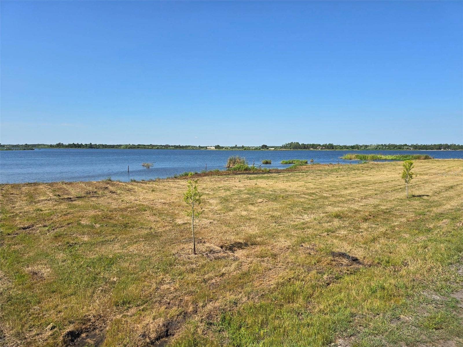 3381 LAKE BUFFUM ROAD E, Fort Meade, FL 33841 3381 LAKE BUFFUM ROAD E, Fort Meade, FL 33841