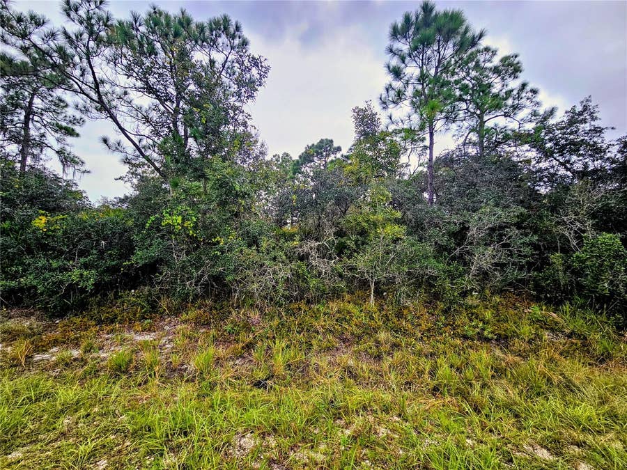 Property photo for 105 BRONSON STREET NW, Lake Placid, FL