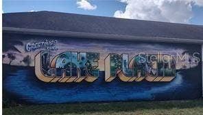See what the Town of Murals has to offer.