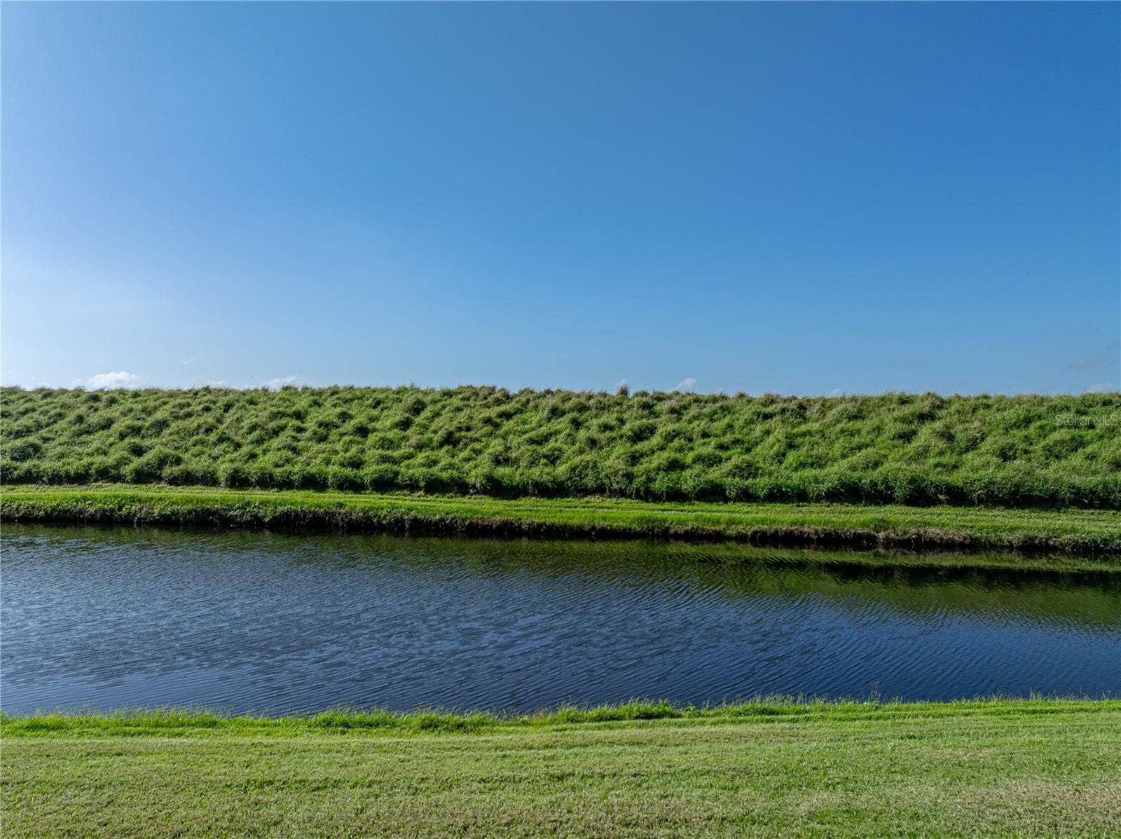 Back property view