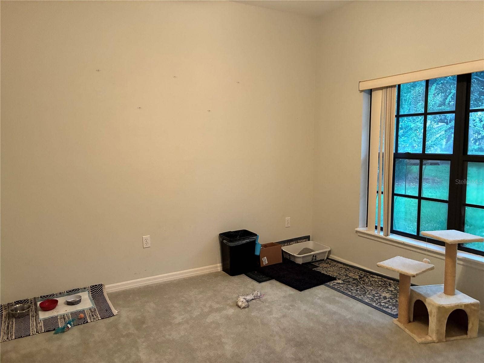 DEN/OFFICE  USING AS CAT ROOM