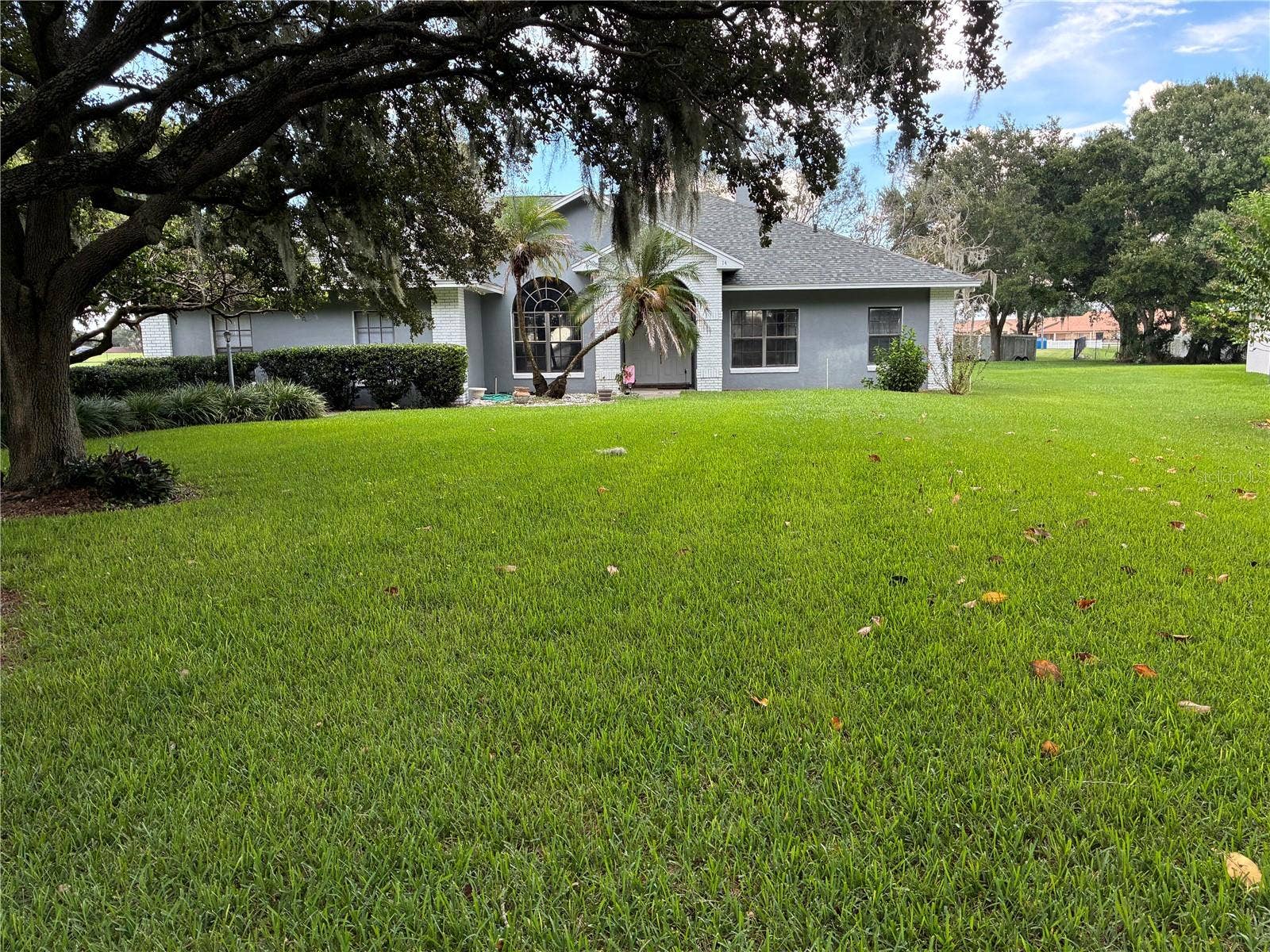 FRONT YARD
