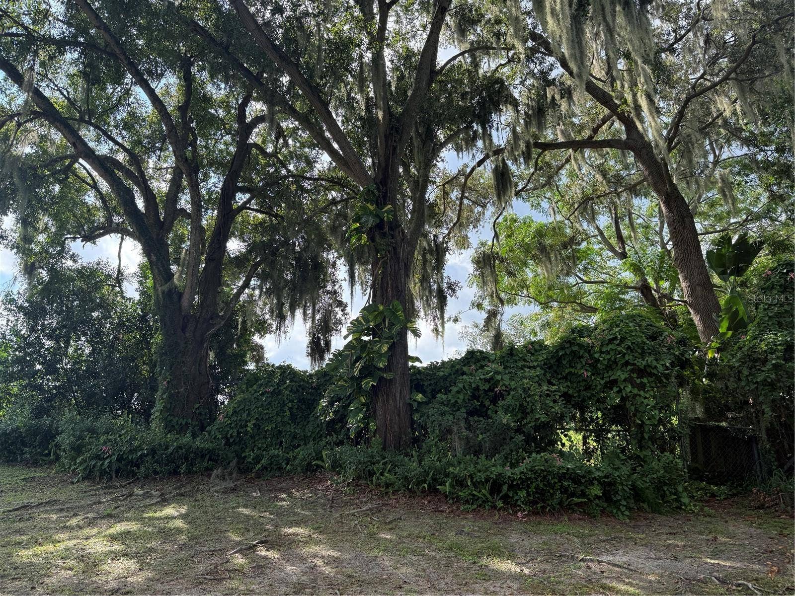 1400 AVENUE D NE, Winter Haven, FL 33881 1400 AVENUE D NE, Winter Haven, FL 33881