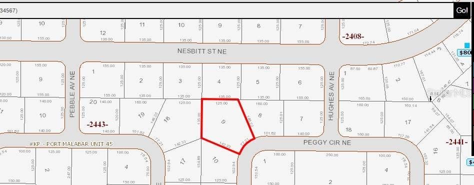 335 NE PEGGY CIRCLE NE, Palm Bay, FL 32907